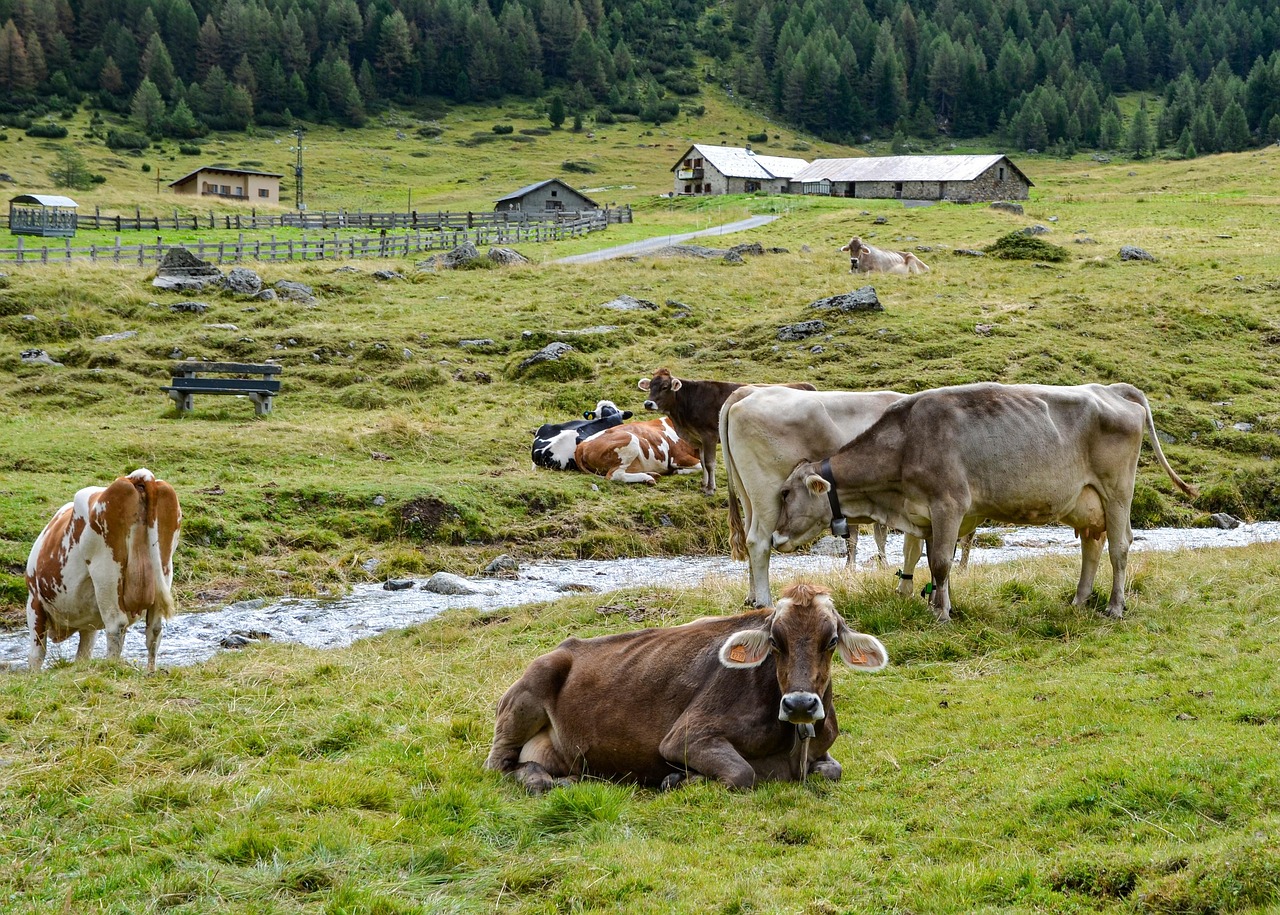 farm